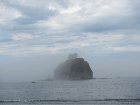 LaPush First Beach
