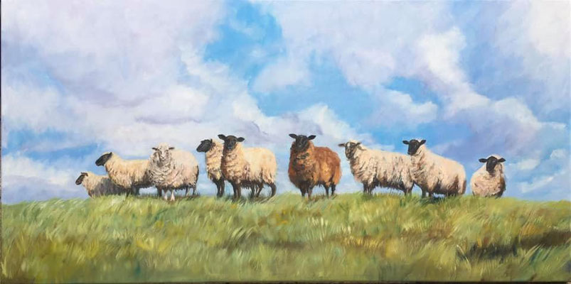 Schafe auf dem Deich 120 x 60