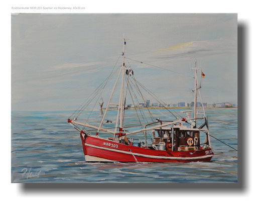 Krabbenkutter NOR Sperber vor Norderney 40 x 30 cm