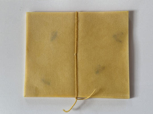Buch 11 _ Bienenwachs/Reispapier/Faden/Fichtenfruchtstände, 20x17,5x2 cm, 2024