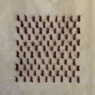 Douglasie _ Papier/Douglasie/Bienenwachs, 20x20x1, 2018