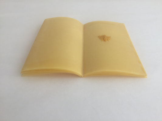 Buch 04 _ Reispapier/Bienenwachs/Faden, 18 x 12 x 1 cm, 2018