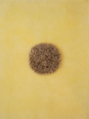 Ohne Titel, Papier/Bienenwachs/Cirsium(Distel), 60x80cm, 2025