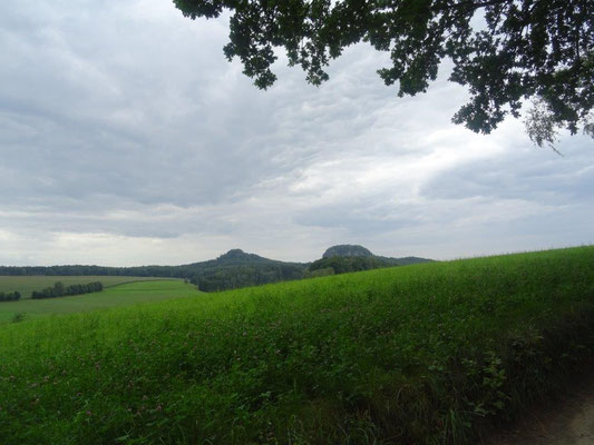 Blick von Weißig zu den Bärensteinen