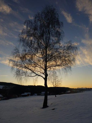 Winterabend bei Frauenau