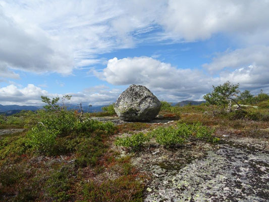 Homfjellet