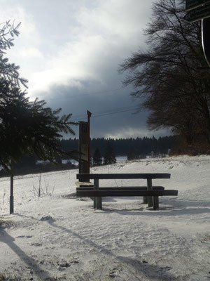 An der Ebertswiese