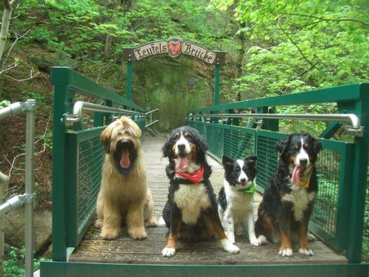 Nepomuk, Senta, Jule und Gusti auf der Teufelsbrücke im Bodetal