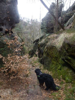 Die zahme Hölle ist eine wilde, enge Schlucht...