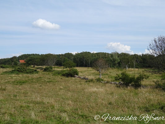 Im Naturreservat Hovs Hallar