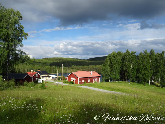 Landidylle in Hugsnäset