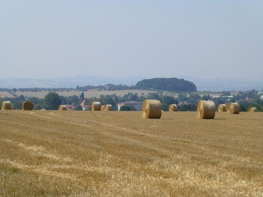 Spätsommer bei Lohmen