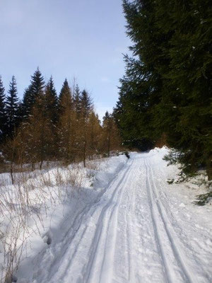 Die Sonne hatte es geschafft, sich einen Weg durch die Wolken zu bahnen