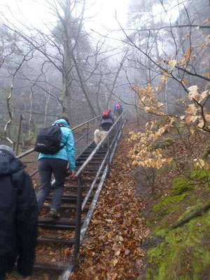 Im Südaufstieg zum Lilienstein