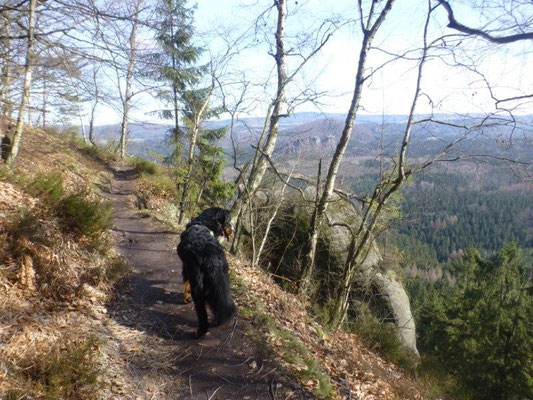 Genialer Ausblick von der oberen Affensteinpromenade
