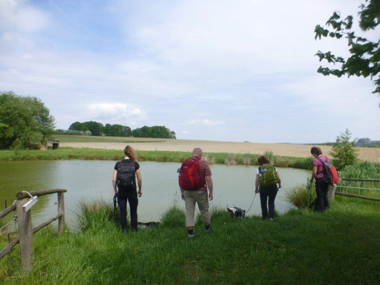 Kleine Abkühlung (für die Hunde ^^) an einem Weiher bei Reinhardtsdorf