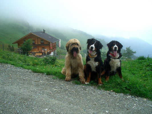Die Geburtstagsgesellschaft an der Bodenalm