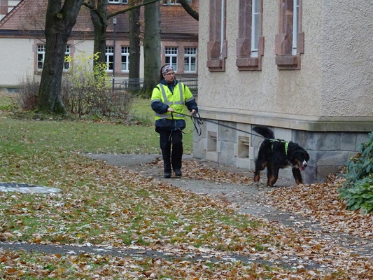 Den Hund zu "lesen" erfordert volle Konzentration :-)