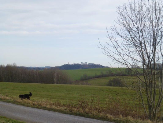 Blick vom Panoramaweg zur Augustusburg