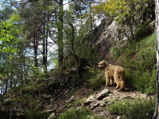 Auf dem Weg zur Rotwand