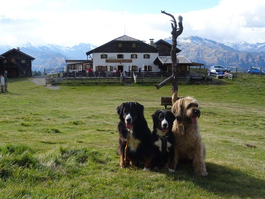Vreni, Selma und Nepomuk vor der Hirzerhütte