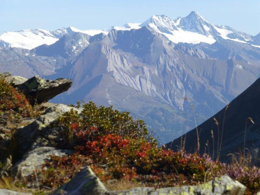 Im Hintergrund der Großglockner