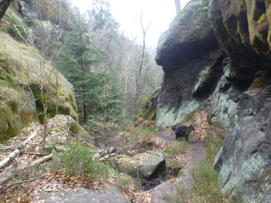 ... in der die Erosion deutliche Spuren hinterlassen hat.