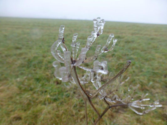 Eisige Kunstwerke der Natur