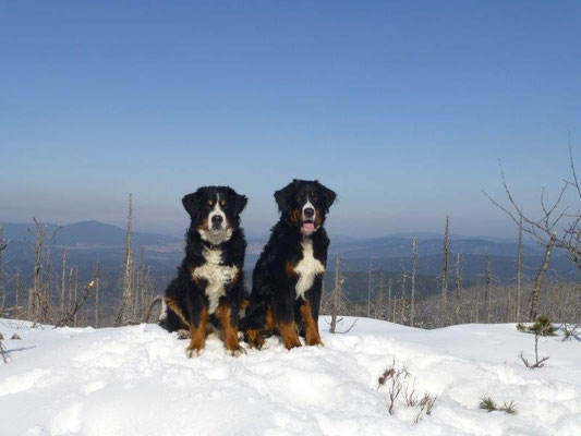 Gusti und Vreni hoch überm Böhmerwald