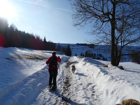 Auf dem Weg zur Talsperre