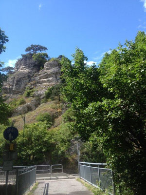 Kalkfelsen bei Mödling