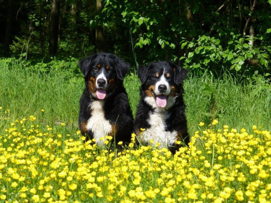 Vreni und Gusti auf der Ebene bei Rosenthal