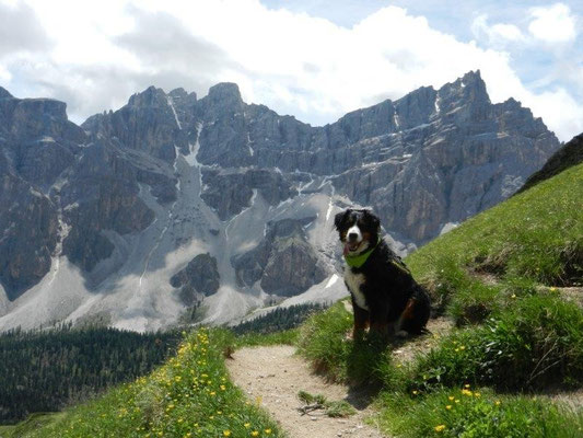 Gusti am Kreuzjoch