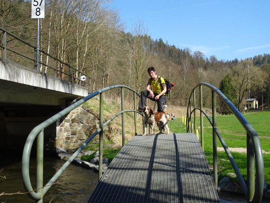 Gitterbrücke im Sebnitztal