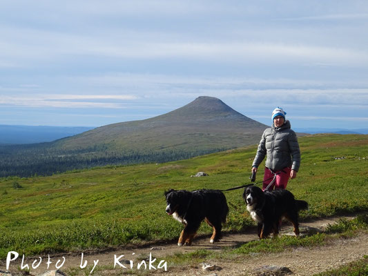 Wanderung zum Nippfjället