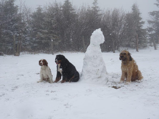 Lilly, Vreni, Nepomuk und ..... der Schneemann :-)