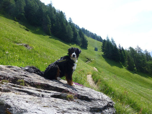 Aufstieg zur Nilljochhütte