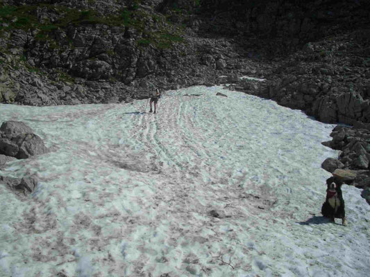 Schneefeld auf dem Weg zum Seeleinsee