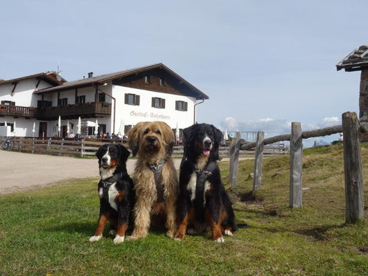 Selma, Vreni und Nepomuk posieren vorm Gasthaus Unterhorn