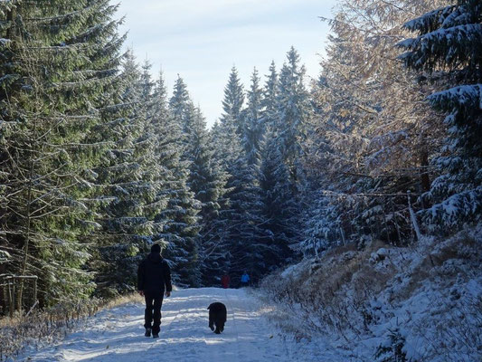 Einsame Winterwanderer