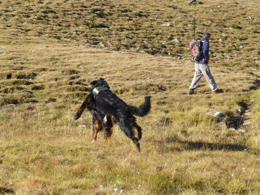 Wanderung zum Speikboden