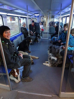 Im Zug nach Königstein