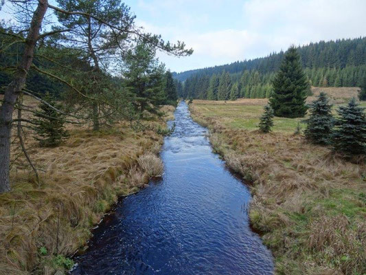 Das Schwarzwasser trägt seinen Namen zurecht