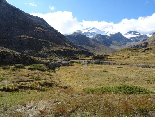 Hoch oben im Martelltal