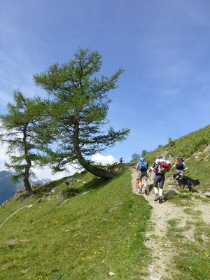 Aufstieg zur Bodenalm