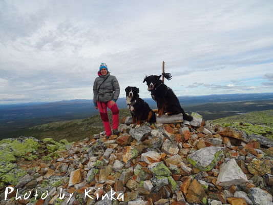 Kalter Wind auf dem Nippfjället