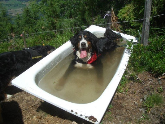 Und wieder "Senta's" Badewanne auf dem Weg zum Ganitzle