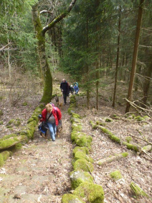Aufstieg auf den Scheibenberg