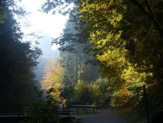 Herbst im Amselgrund