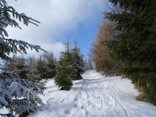 Auf dem Gipfelplateau